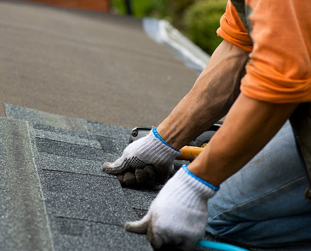 Best Storm Damage Roof Repair  in North Randall, OH